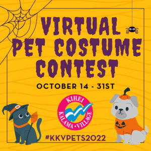 virtual pet costume contest
