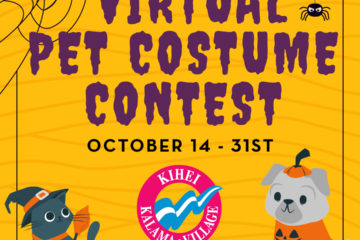 virtual pet costume contest