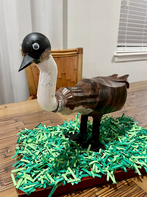 Hawaiian Goose submission to child craft contest
